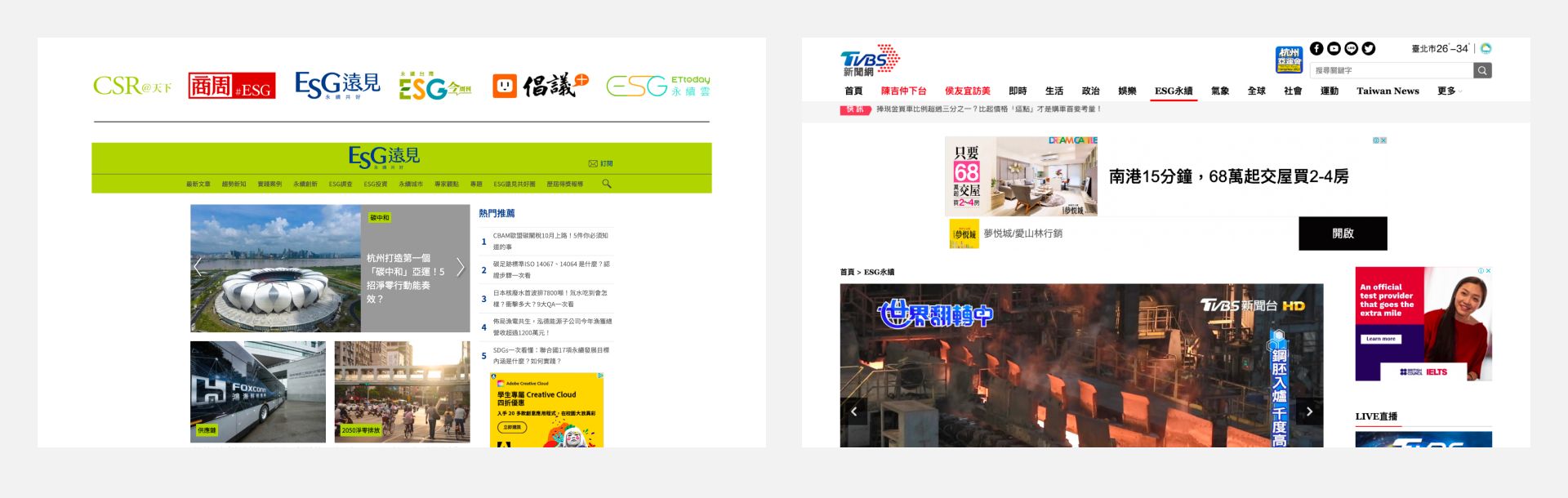 ESG Website Project